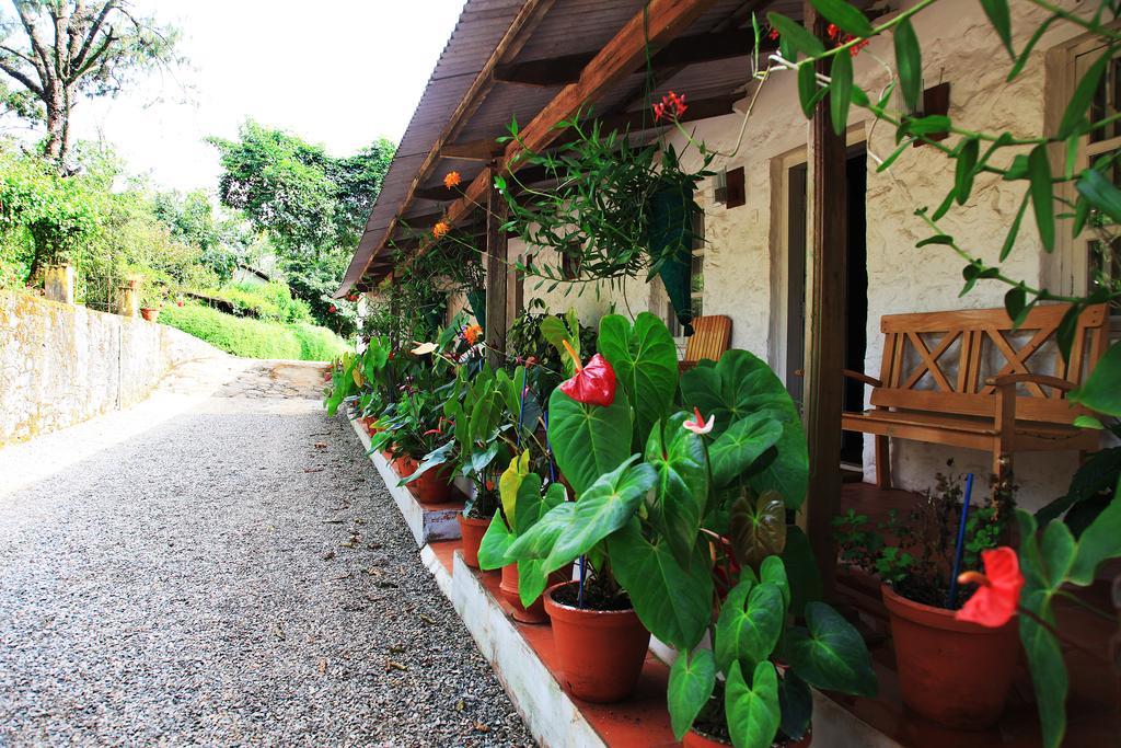 Thekkady Kalarickal Heritage Bungalow Vandanmedu Eksteriør bilde