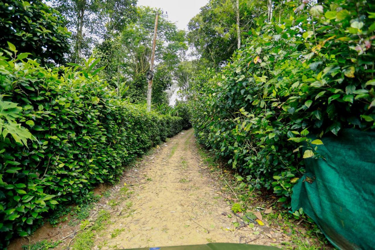 Thekkady Kalarickal Heritage Bungalow Vandanmedu Eksteriør bilde