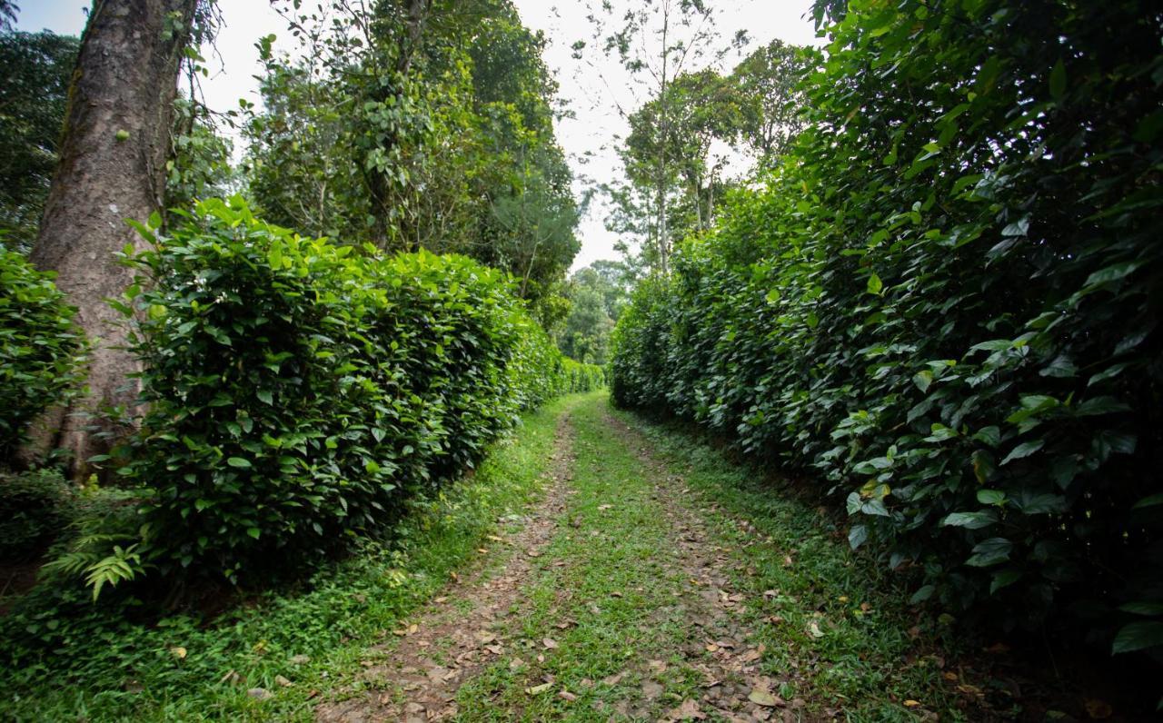 Thekkady Kalarickal Heritage Bungalow Vandanmedu Eksteriør bilde